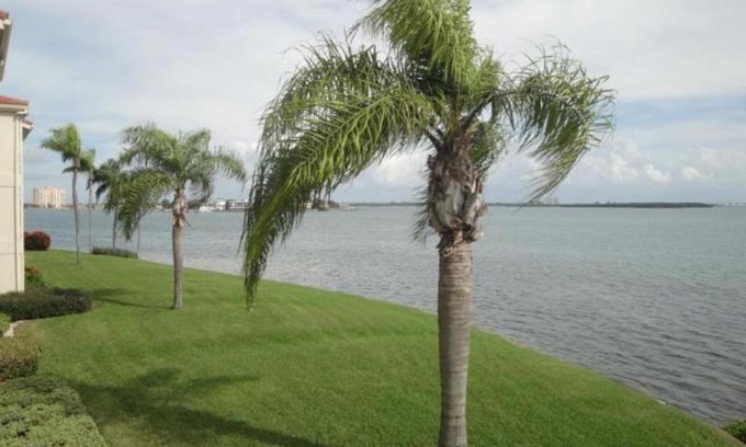 Palma del Mar House | Palma Perfect Florida Getaway