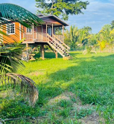 Jacinto Ville House | Palms & Paradise