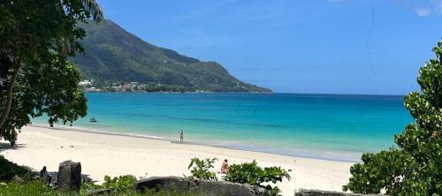Mare Anglaise Apartment | Panorama Guesthouse Apartments Beau Vallon Beach