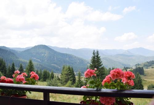 Pamporovo Apartment | Panorama Stoykite Yana apartment