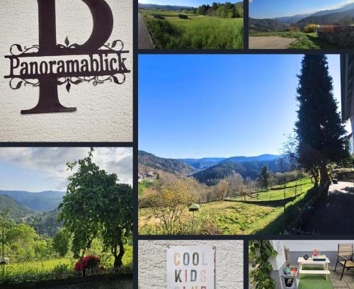 Forbach Apartment | Panoramablick Bermersbach
