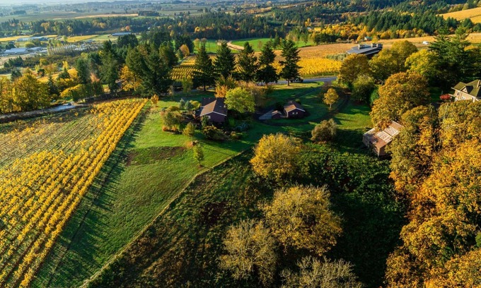 Dundee House | Panoramic Vineyard Views, Pet Friendly, New Deck, Game Room, Ping Pong, Darts, Walk to Vineyards