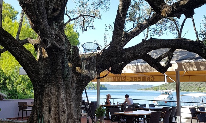 Island Dugi Otok Hotel | Pansion Alen-Dugi otok