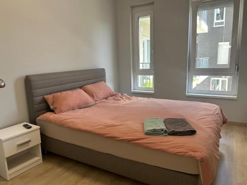 Ferencvaros Apartment | papay 公园公寓