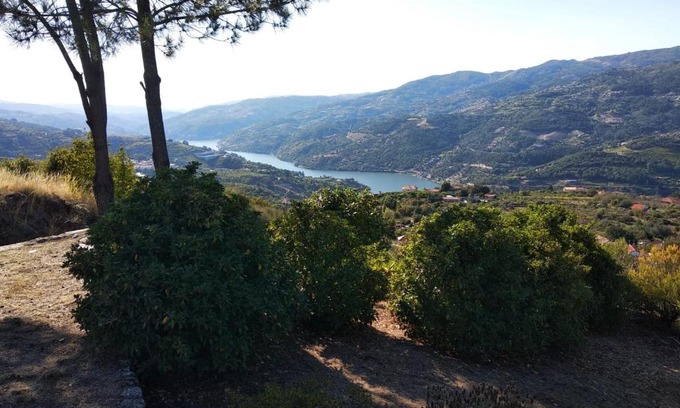 Resende Villa | Paraíso Hills - Encostas do Paraíso: tranquilidade no Douro