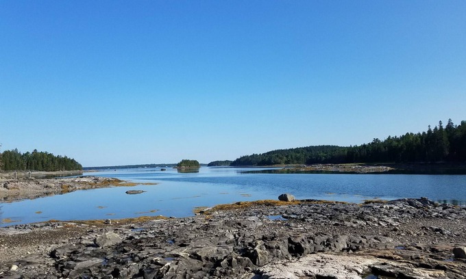 Mount Desert Cabin | Paradise on Squid Cove - Two Cabins on timelesss Cove-a nature lover paradise