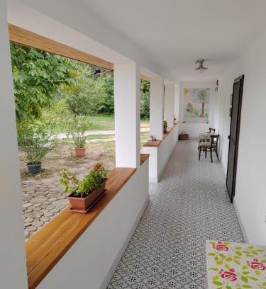 Homokmegy House | Parittyaház