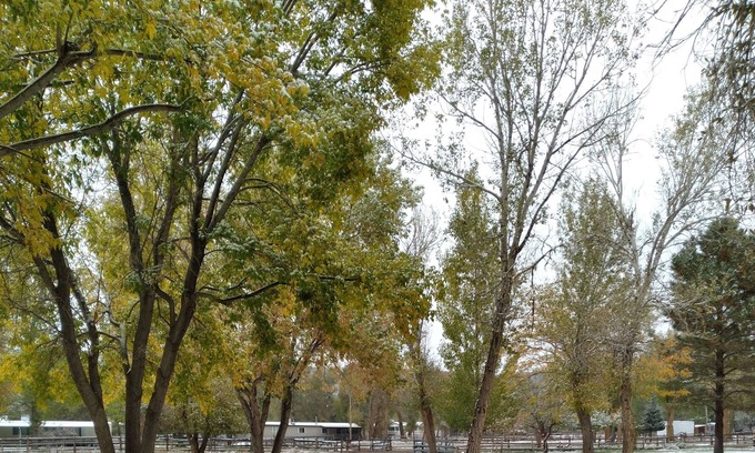Beaver RV Rental | Park your RV in a 1 acre yard where mule deer and wild turkeys roam daily.