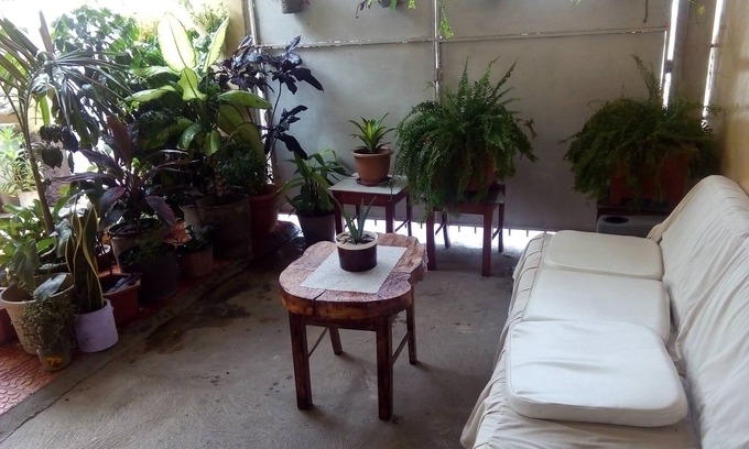 Comayagua House | Patio De Joan