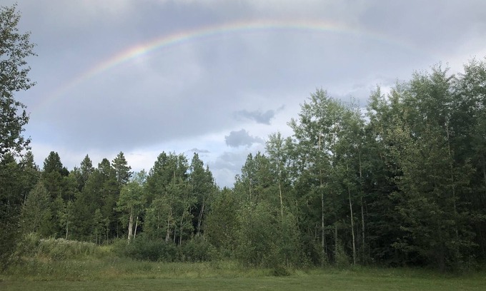 Clearwater County House | Peace and tranquility! Cozy home in forest setting.