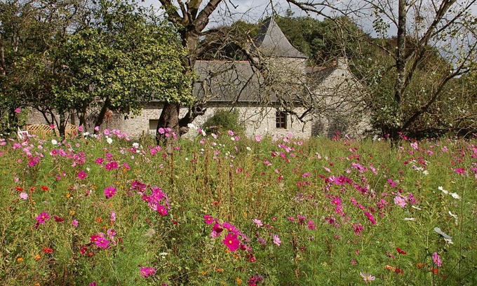 Carentoir House | PEACE, PRIVACY AND HISTORY—ALL WRAPPED UP IN A MAGICAL SETTING