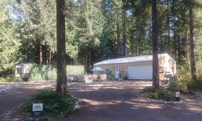Hoodsport Cabin | Peaceful 1-bedroom sleeps 4 cabin. Immerse yourself in tranquility.