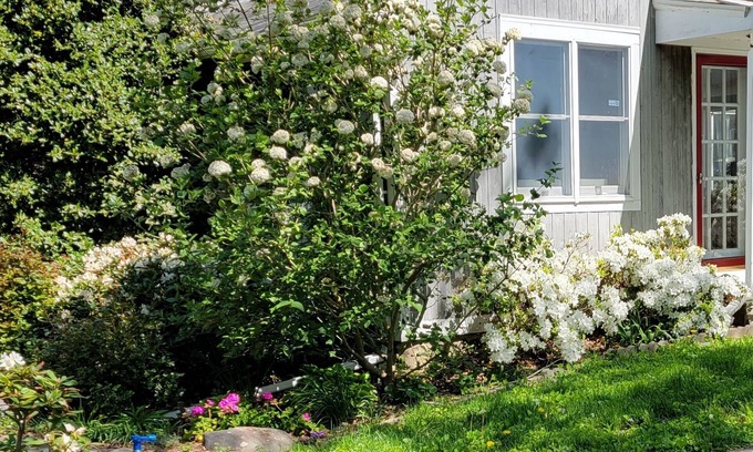 Newtown Other | Peaceful farm house surrounded by paddocks, trees, gardens. Conveniently located