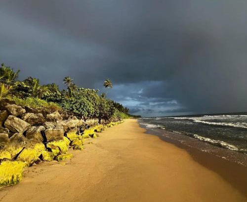 Kannur House | Peaceful Homestay near Kizhunna Beach