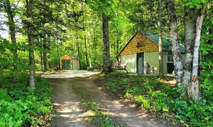 McMillan Cabin | Peaceful Little Cabin