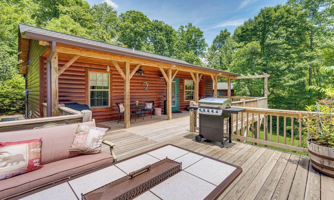 Murphy Cabin | Peaceful Murphy Cabin w/Fire Pits & Forest Views!