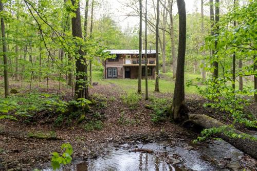 Naples House | Peaceful Naples Cabin with Deck and Stream Views