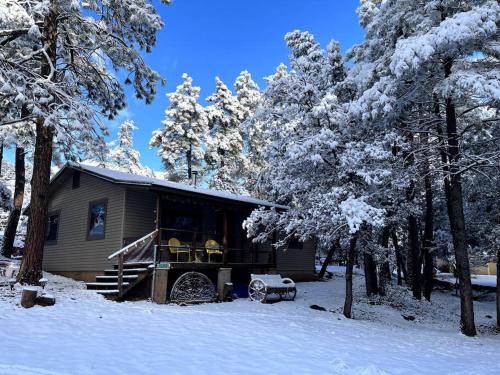 Pine House | Peaceful Pine Place Cabin