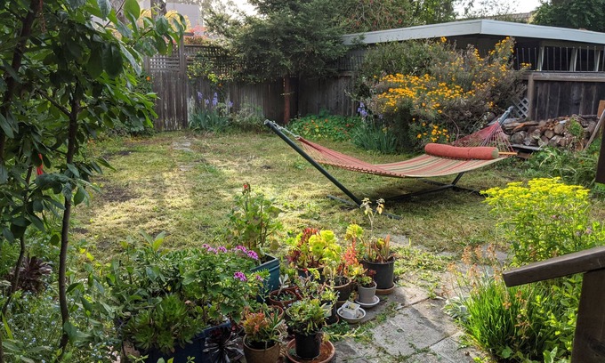 Albany House | Peaceful relaxation in house with lots of restaurants and the Bay close by!