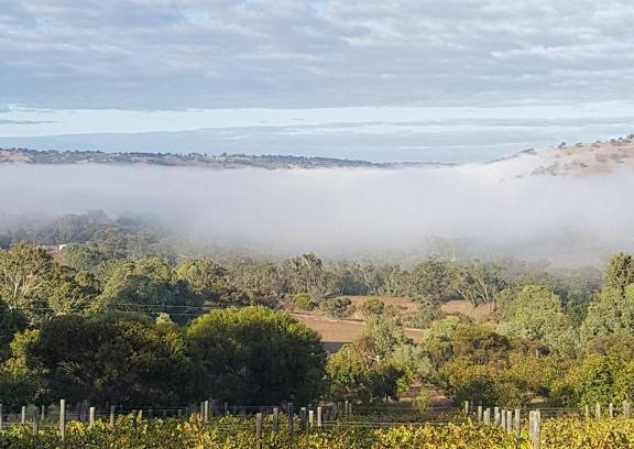 West Toodyay Bed & Breakfast | Pecan Hill BNB