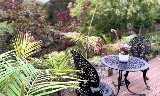 St. Heliers Apartment | Pecefuuite wth Bus