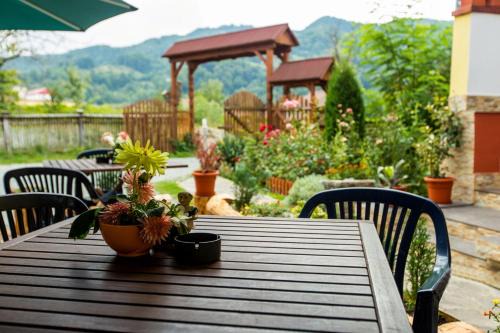 Viseu de Sus House | Pension Agnes