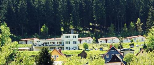Manebach House | Pension Am Waldesrand