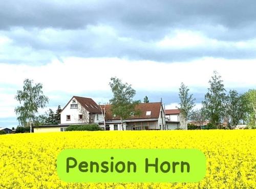 Schkopau Apartment | Pension Horn