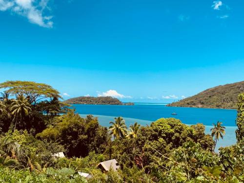 Huahine House | Pension TUPUNA