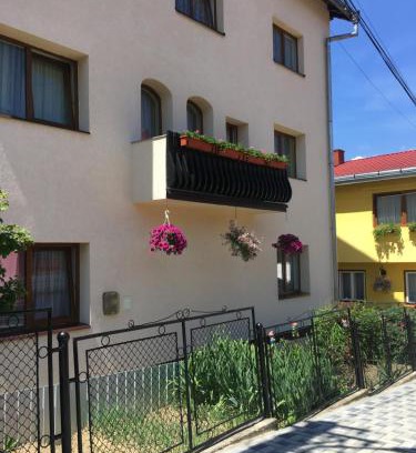 Vatra Dornei House | Pensiunea Alecsandra
