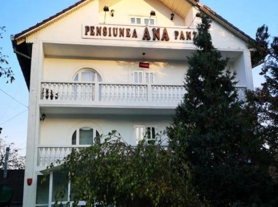 Ernei Hotel | Pensiunea Ana