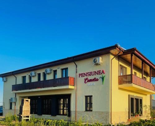 Tulcea County House | PENSIUNEA CAMELIA