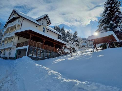 Borsa House | Pensiunea Casa Bradet