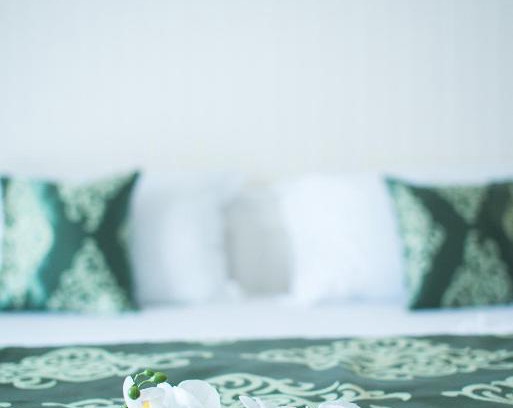 Becicherecu Mic House | Pensiunea Gradina Verde