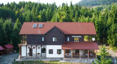 Bistrita Bargaului House | Pensiunea Ily