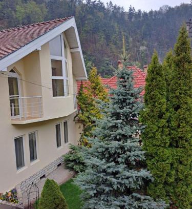 Tilisca House | Pensiunea Irina