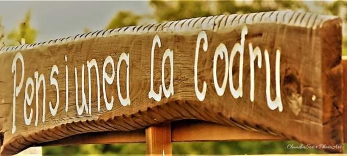 Jurilovca House | Pensiunea La Codru