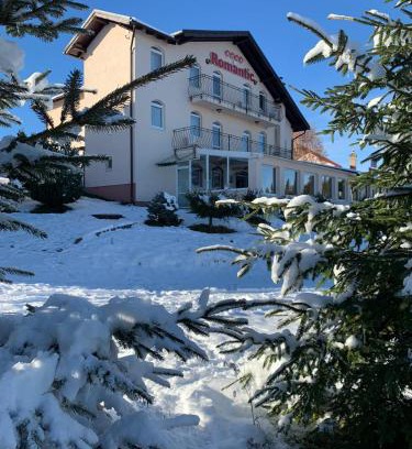Paltinis House | Pensiunea Romantic Belvedere Paltinis