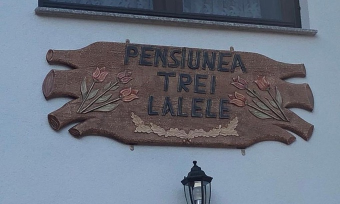 Moisei Hotel | Pensiunea Trei Lalele
