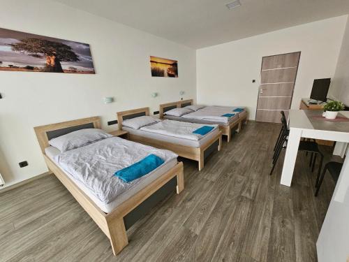 Bucovice Apartment | Penzion Machynka