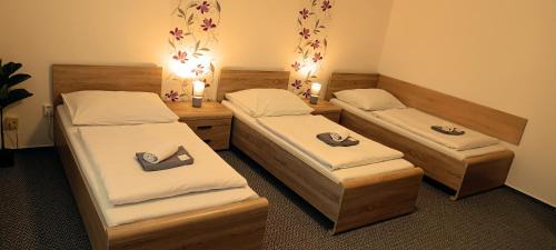 Havlickuv Brod House | Penzion Starr