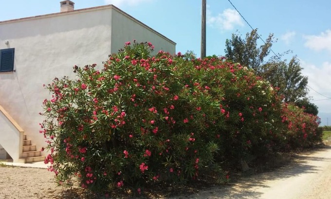 Amposta House | Pequeña casa rural en el centro del Delta del Ebro