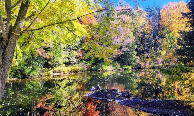 Havelock-Belmont-Methuen Cottage | Perfect Escape from the city, recharge and connect with nature!