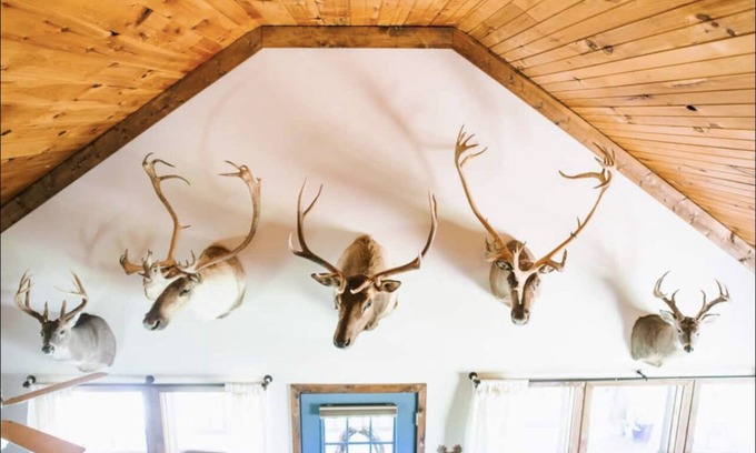 Searcy Cabin | Perfect Cabin 5 minutes to Blanchard Springs Nat. Park