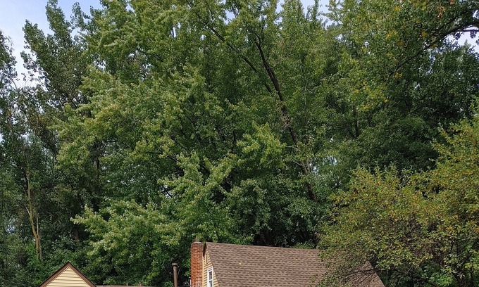 Vadnais Heights House | Perfect Cottage Style House- surrounded by nature, parks and trails.