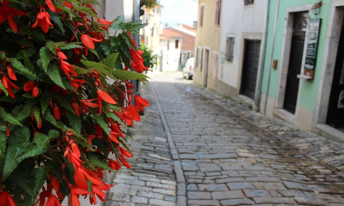 Motovun Apartment | Perfect for couple/small family