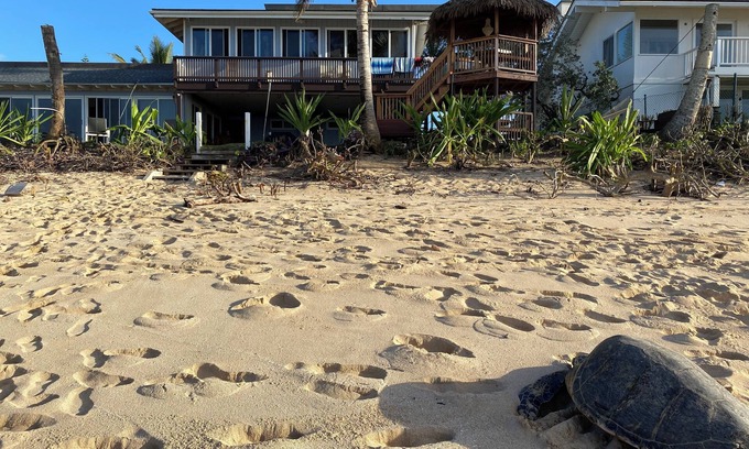 Haleiwa Apartment | PERFECT LOCATION BEACH FRONTnINQUIRE special discounts reduced rates for october