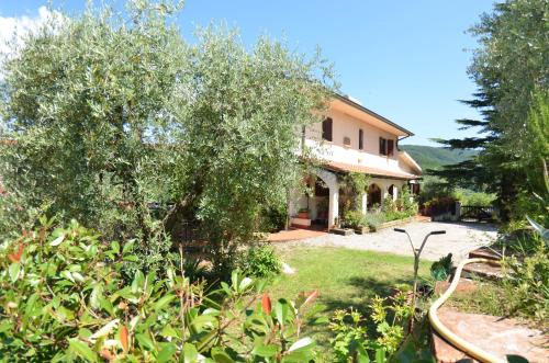 Pieve a Nievole House | Petra