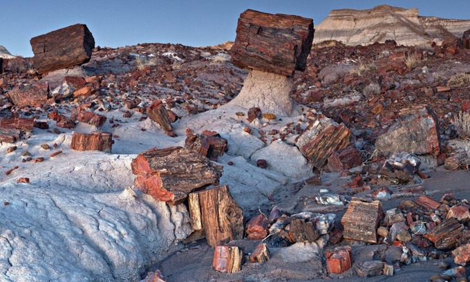 Holbrook RV Rental | Petrified National Forest/Meteor Crater near Holbrook,AZ
