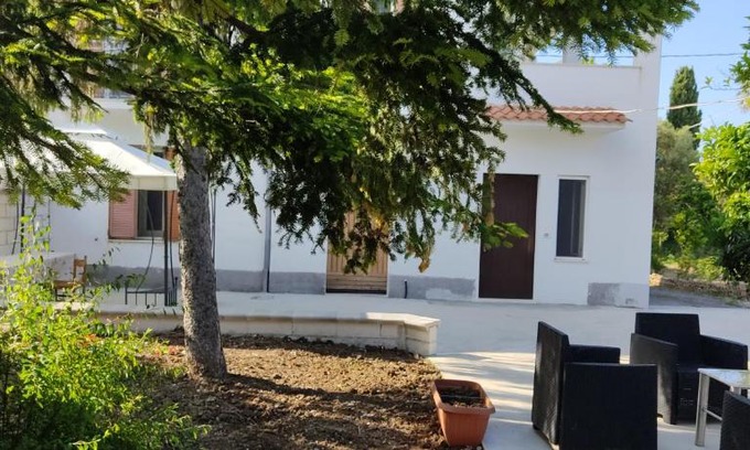 Tollo House | Piccola LoLu